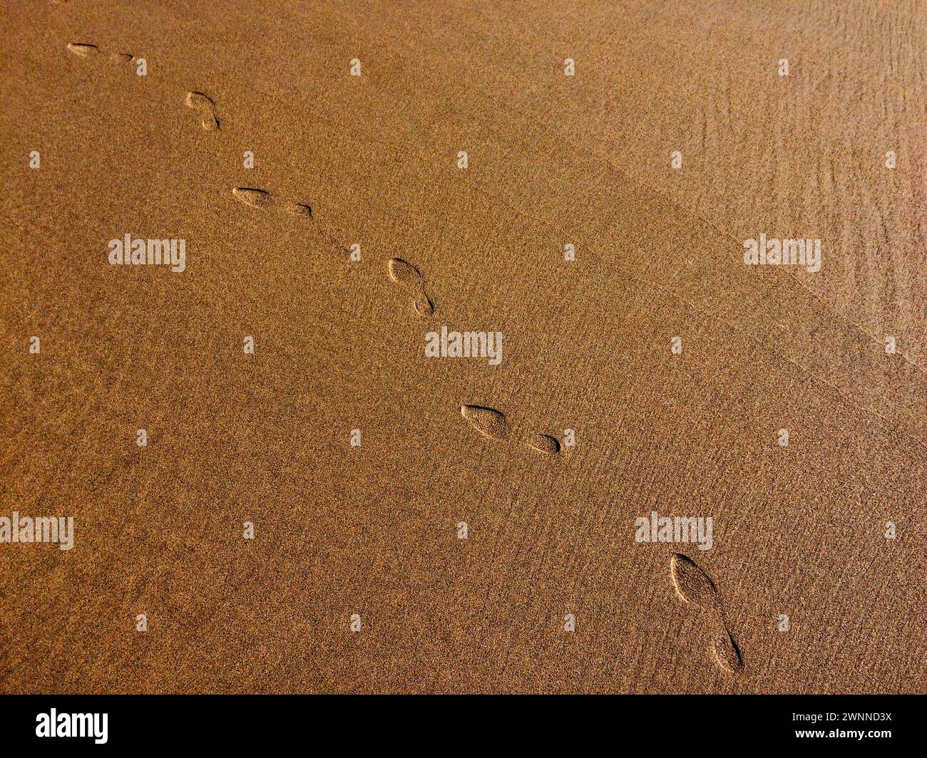 L'immagine mostra le impronte su una superficie sabbiosa, indicando un percorso. Foto Stock