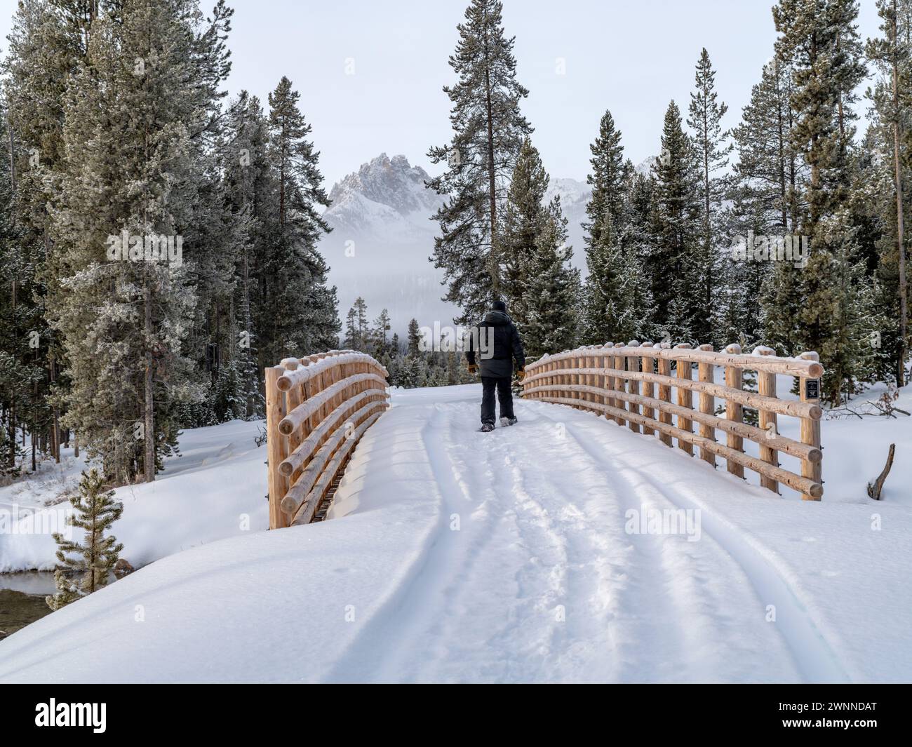 Attività ricreative invernali a piedi con le racchette da neve nella natura selvaggia dell'Idaho Foto Stock