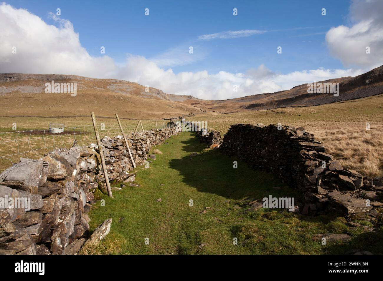 La corsia verde murata che conduce a Crummackdale, nello Yorkshire Dales, Regno Unito Foto Stock