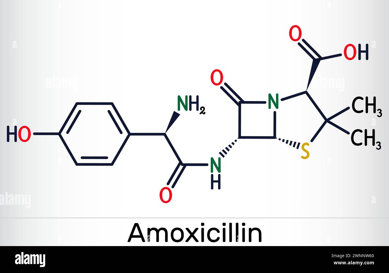 Molecola del farmaco amoxicillina. Si tratta di antibiotico beta-lattame. Formula chimica scheletrica. Illustrazione vettoriale Illustrazione Vettoriale