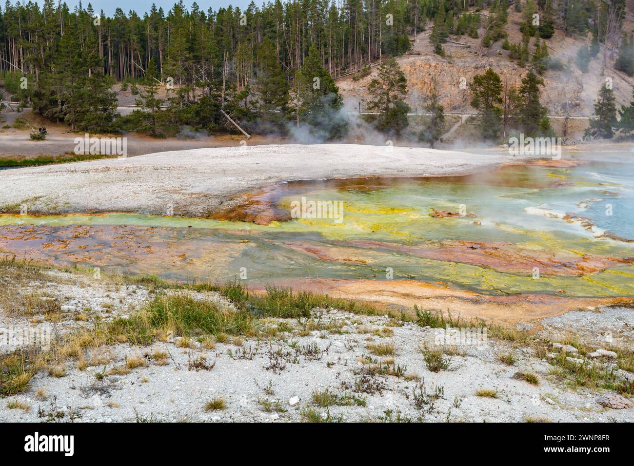 L'acqua di deflusso dal cratere Excelsior Geyser lascia depositi minerali dai colori vivaci mentre scorre verso il fiume Firehole nel bacino del Midway Geyeser Foto Stock