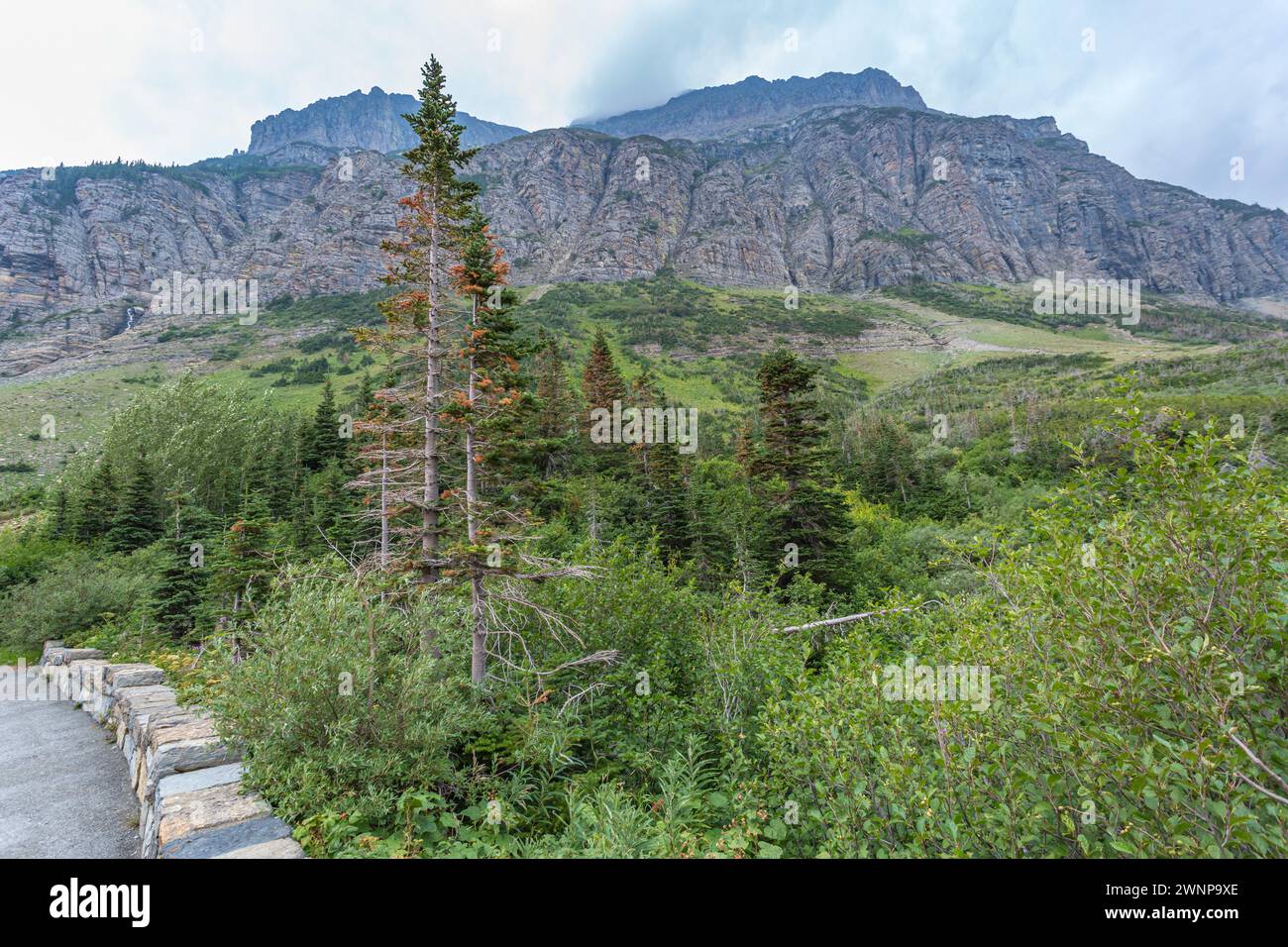 Vista del terrian montuoso al Logan Pass Visitor Center nel Glacier National Park in Montana Foto Stock
