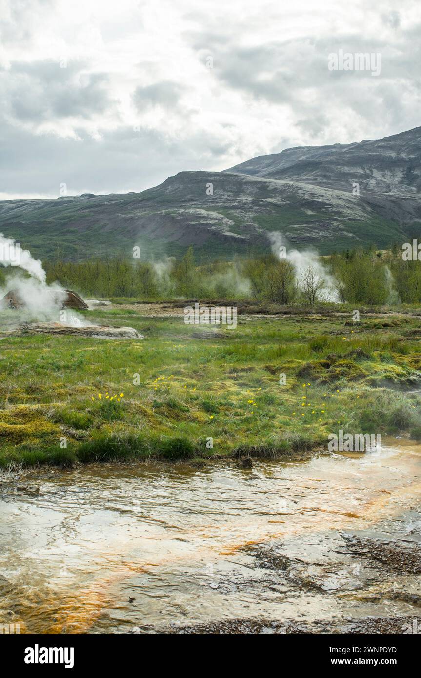 Area geotermale di Geysir - valle di Haukadalur Foto Stock