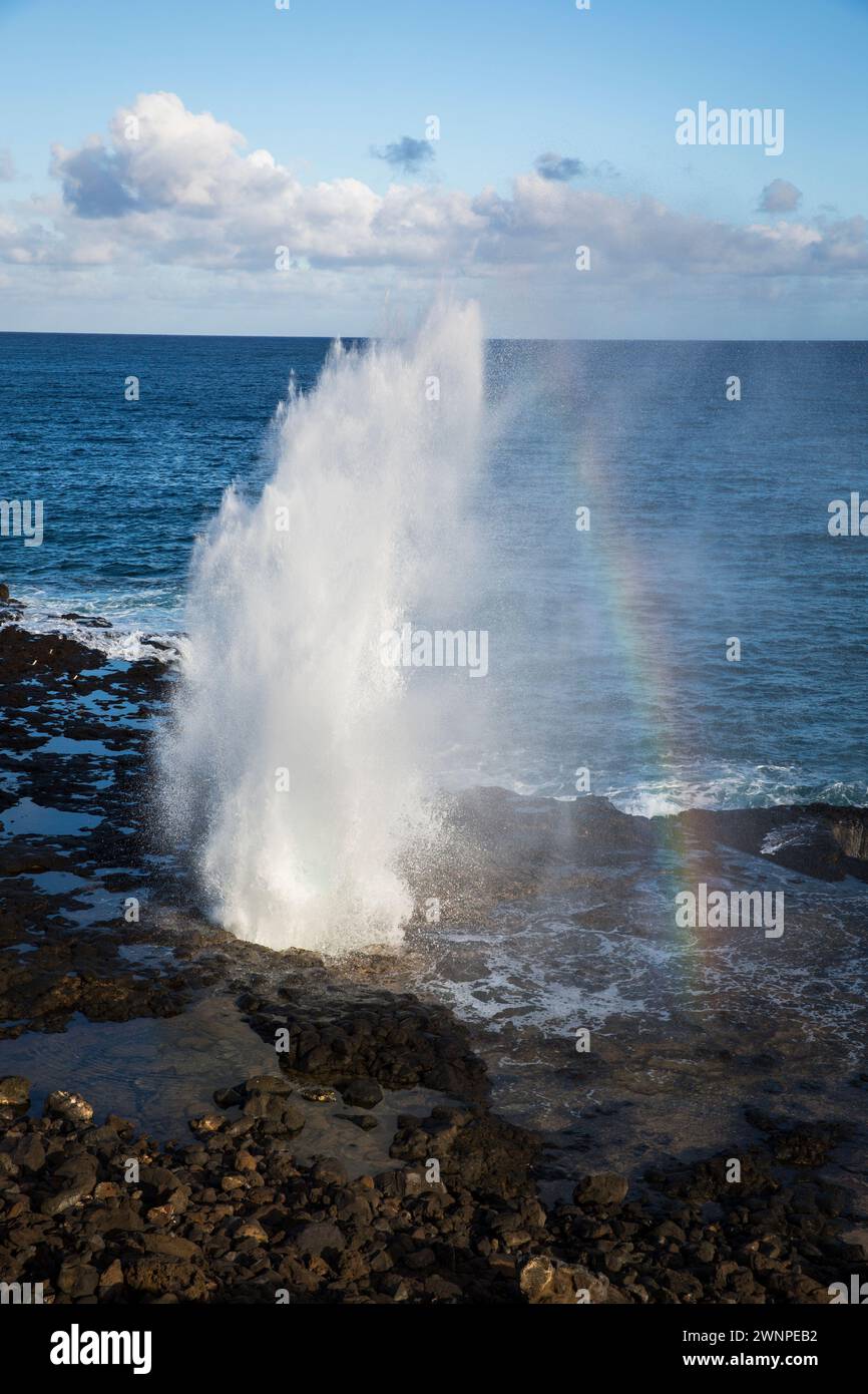 Spouting Horn è un tubo di lava in cui l'acqua si precipita e spruzza in alto nell'aria mentre emette un forte suono di "stridio". Foto Stock
