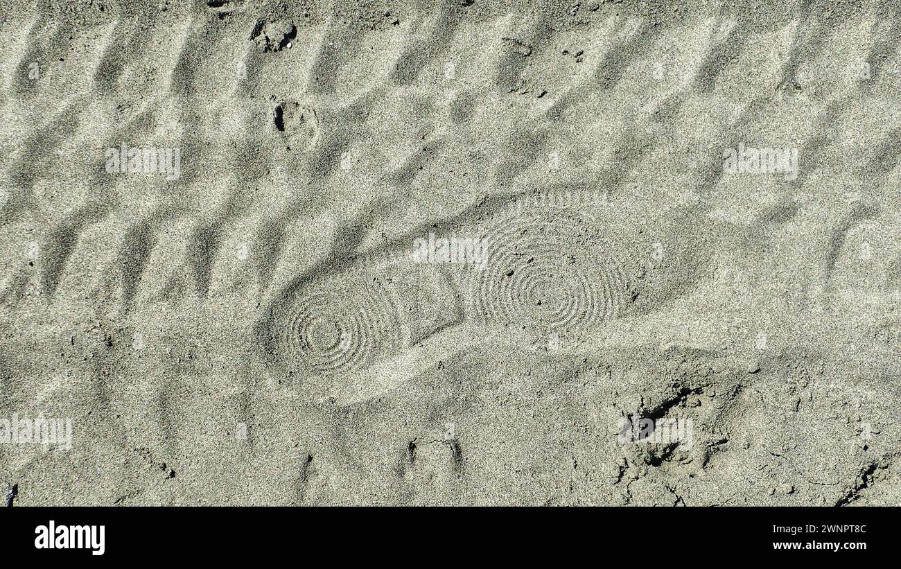 Una scarpa stampata su una pista di gomme sulla sabbia da spiaggia Foto Stock