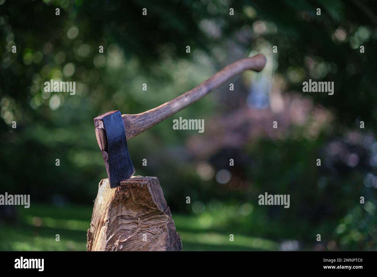 Una vecchia ascia con la testa bloccata in un pezzo di legna da ardere Foto Stock