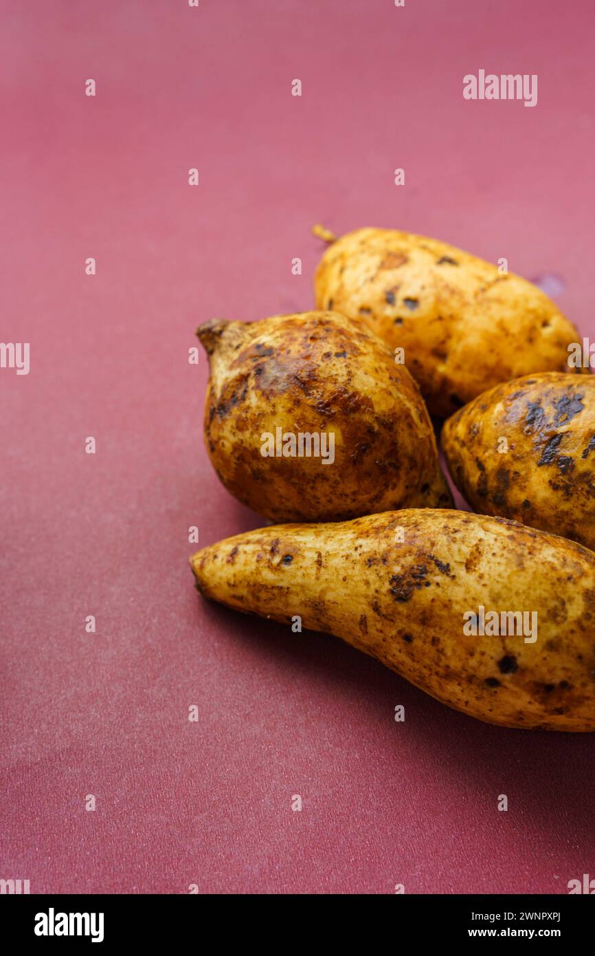 Immagine dello spazio negativo di Ipomoea batatas o di patata dolce fresca bagnata dopo il lavaggio isolata su sfondo pastello. Foto Stock