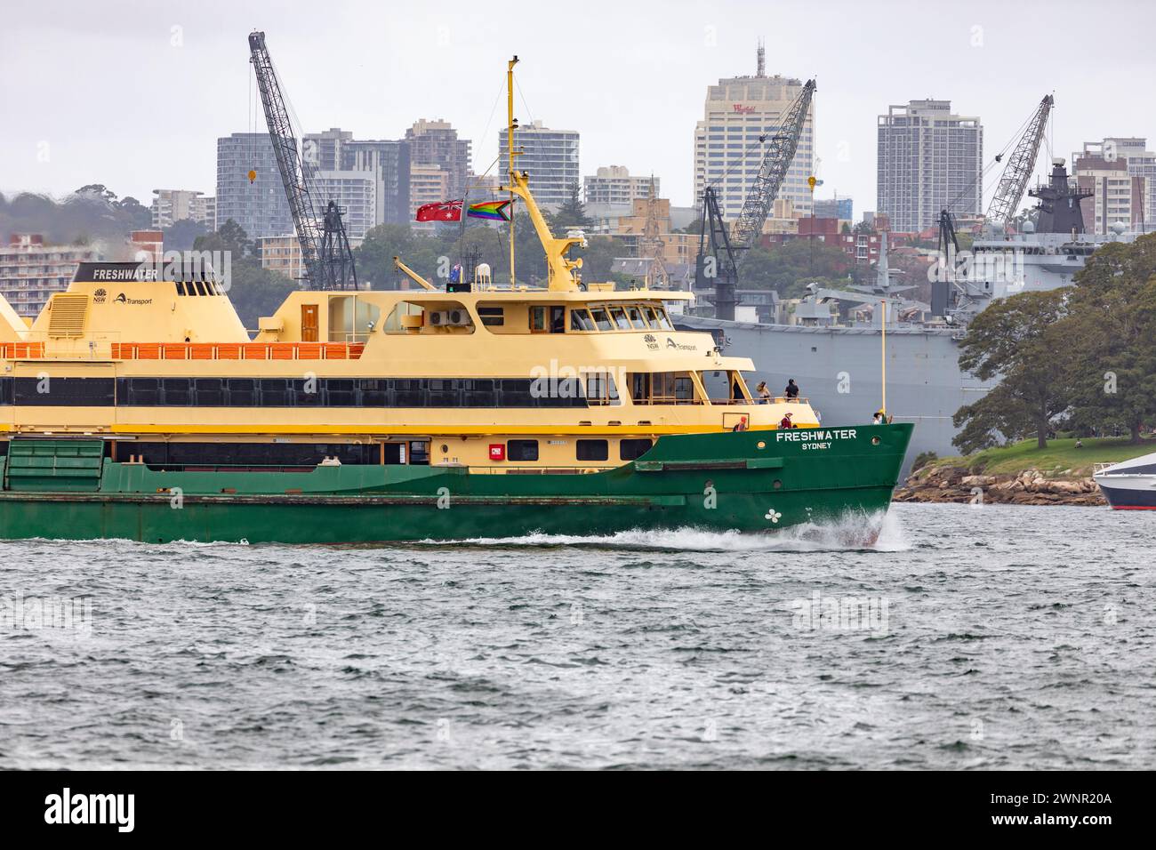 Traghetto di Manly, traghetto MV Freshwater sul porto di Sydney che trasporta pendolari tra il molo dei traghetti di Manly e il molo circolare di Sydney, Sydney, NSW, Australia Foto Stock