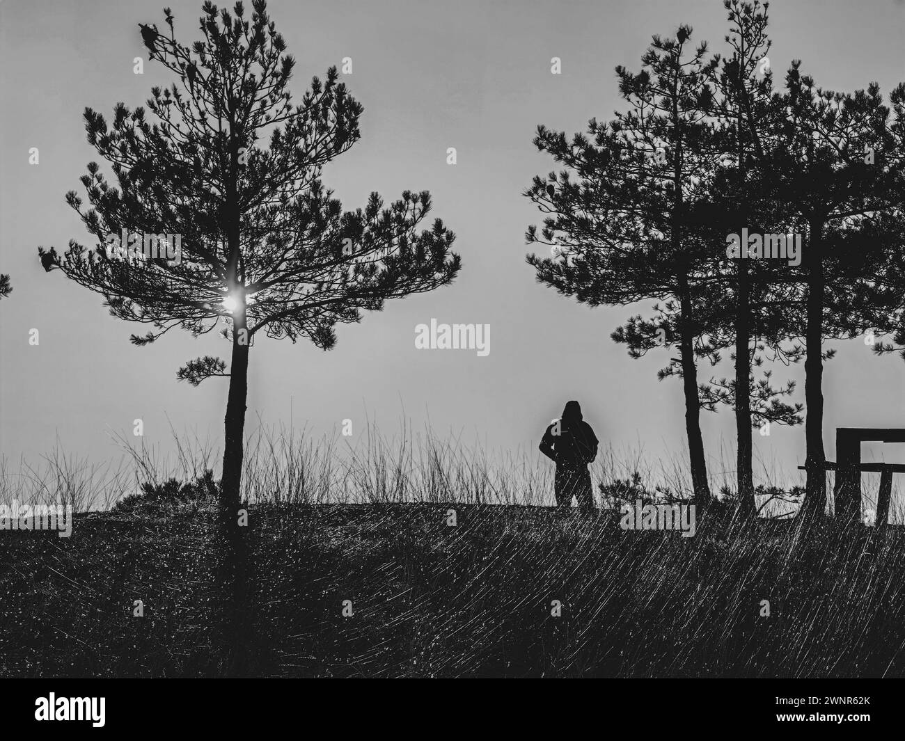 Uomo misterioso sagomato in natura. Paesaggio al tramonto. Bianco e nero, monocromatico. Foto Stock