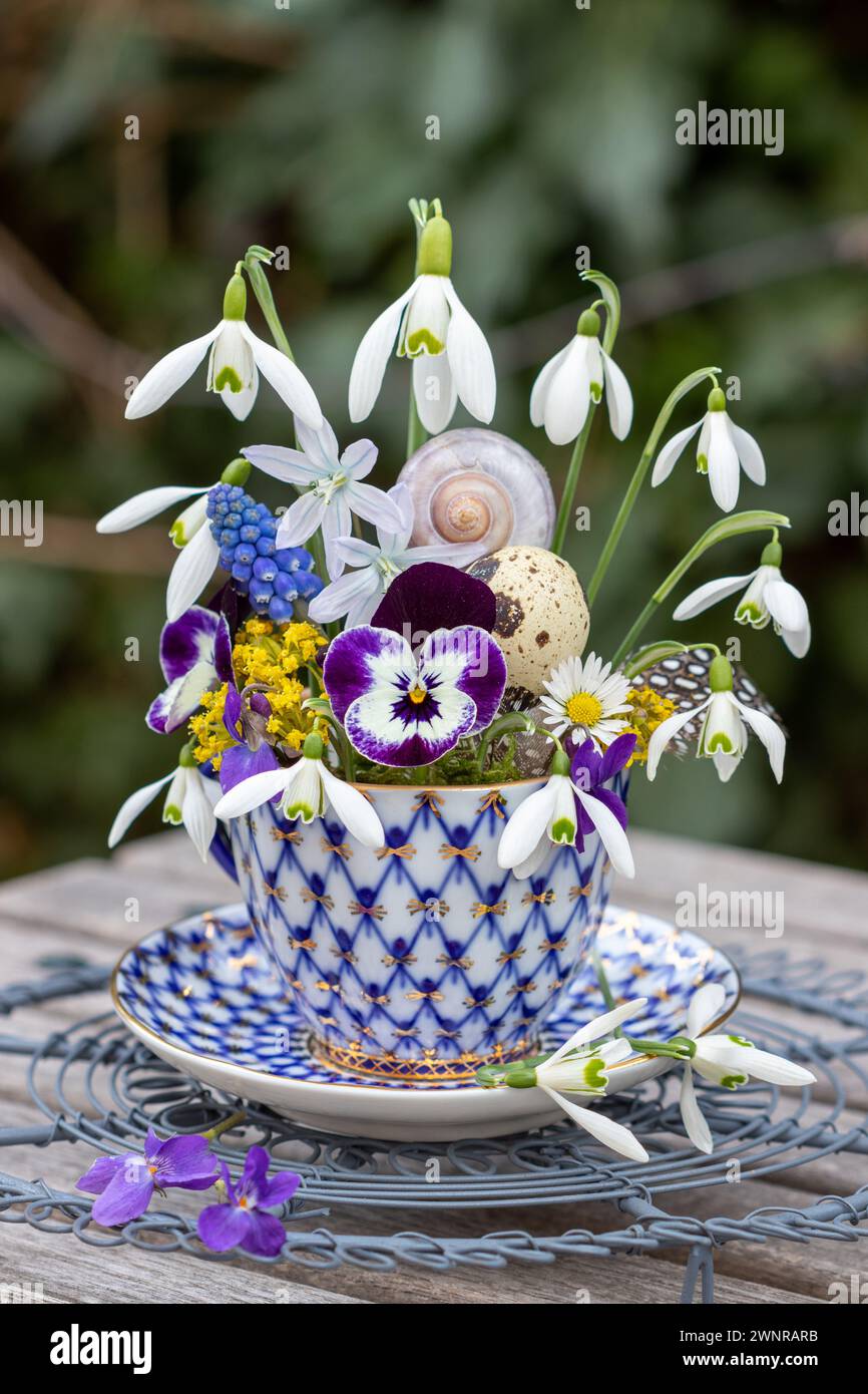 composizione floreale con fiore viola viola viola, gocce di neve e giacinto d'uva in tazza di porcellana vintage Foto Stock