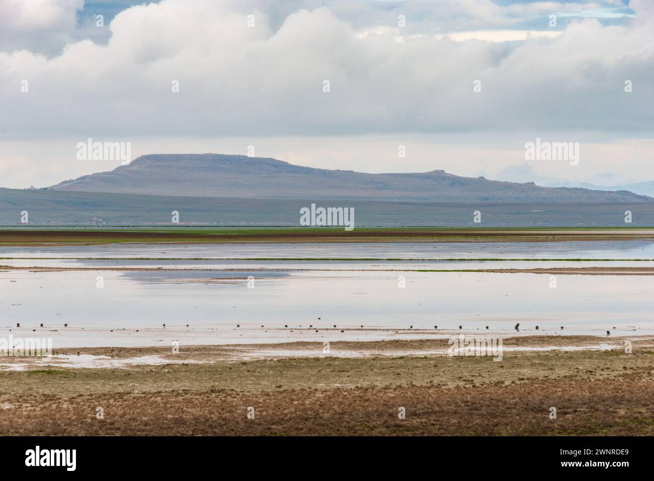 Antelope Island State Park, la più grande isola del Great Salt Lake, Utah Foto Stock