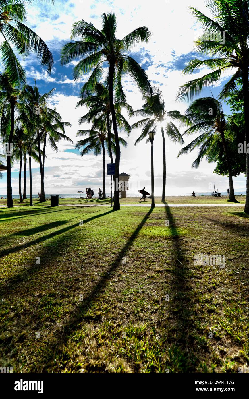 Sagome nel tardo pomeriggio a Waikiki Beach a Honolulu Foto Stock