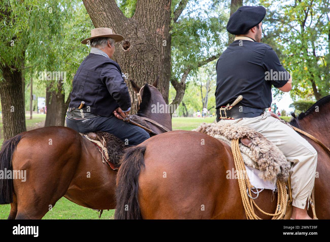 Gauchos argentini montati su cavalli da corsa Foto Stock