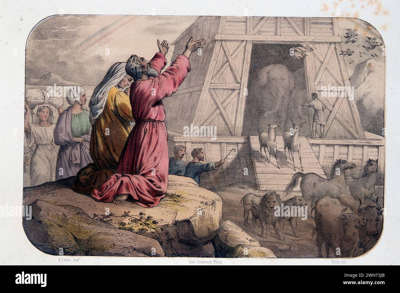 Arca di Noè - incisione - XIX secolo Foto Stock