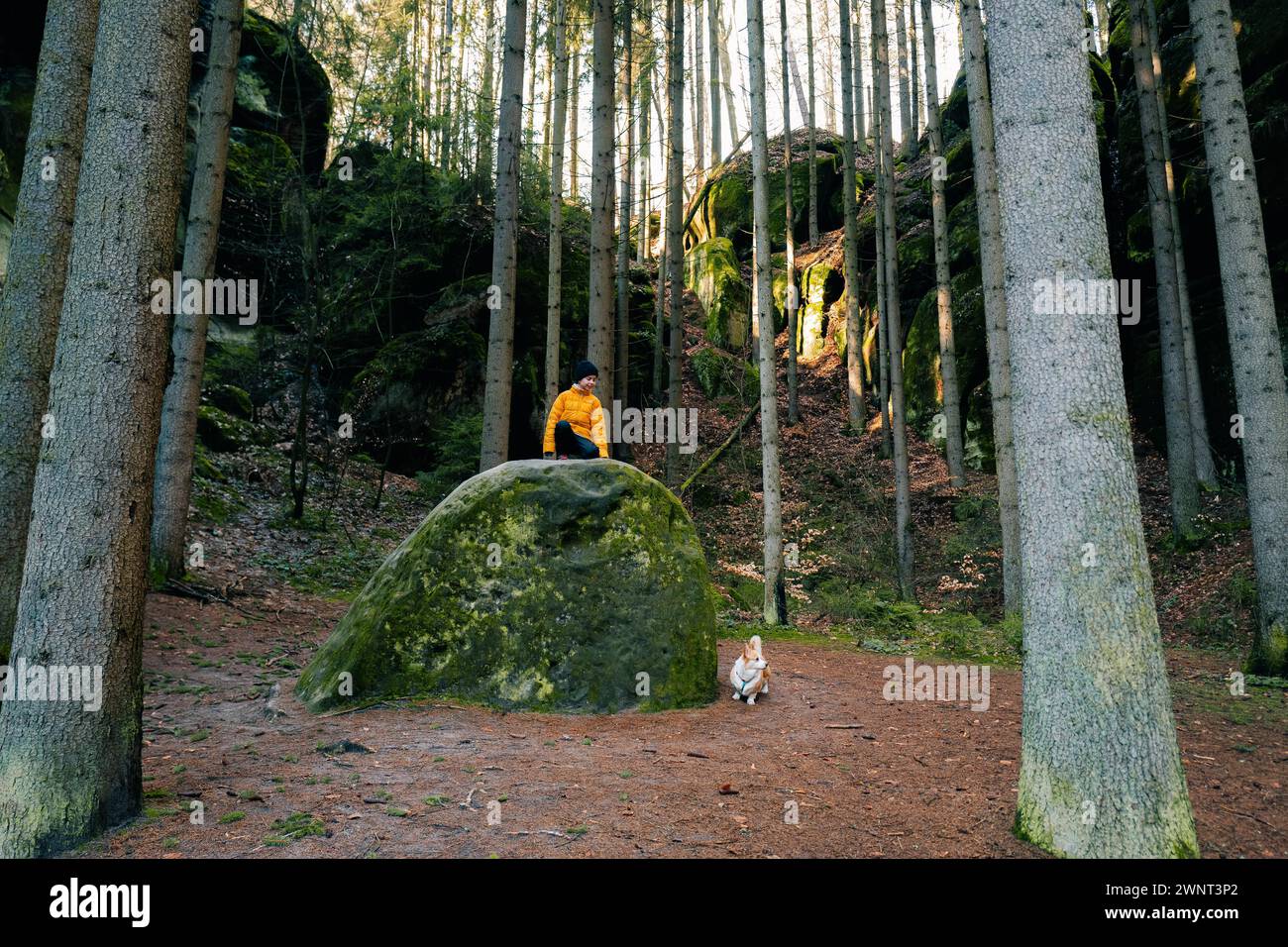 Ragazzo e il suo cane corgi su una grande roccia nella foresta Foto Stock