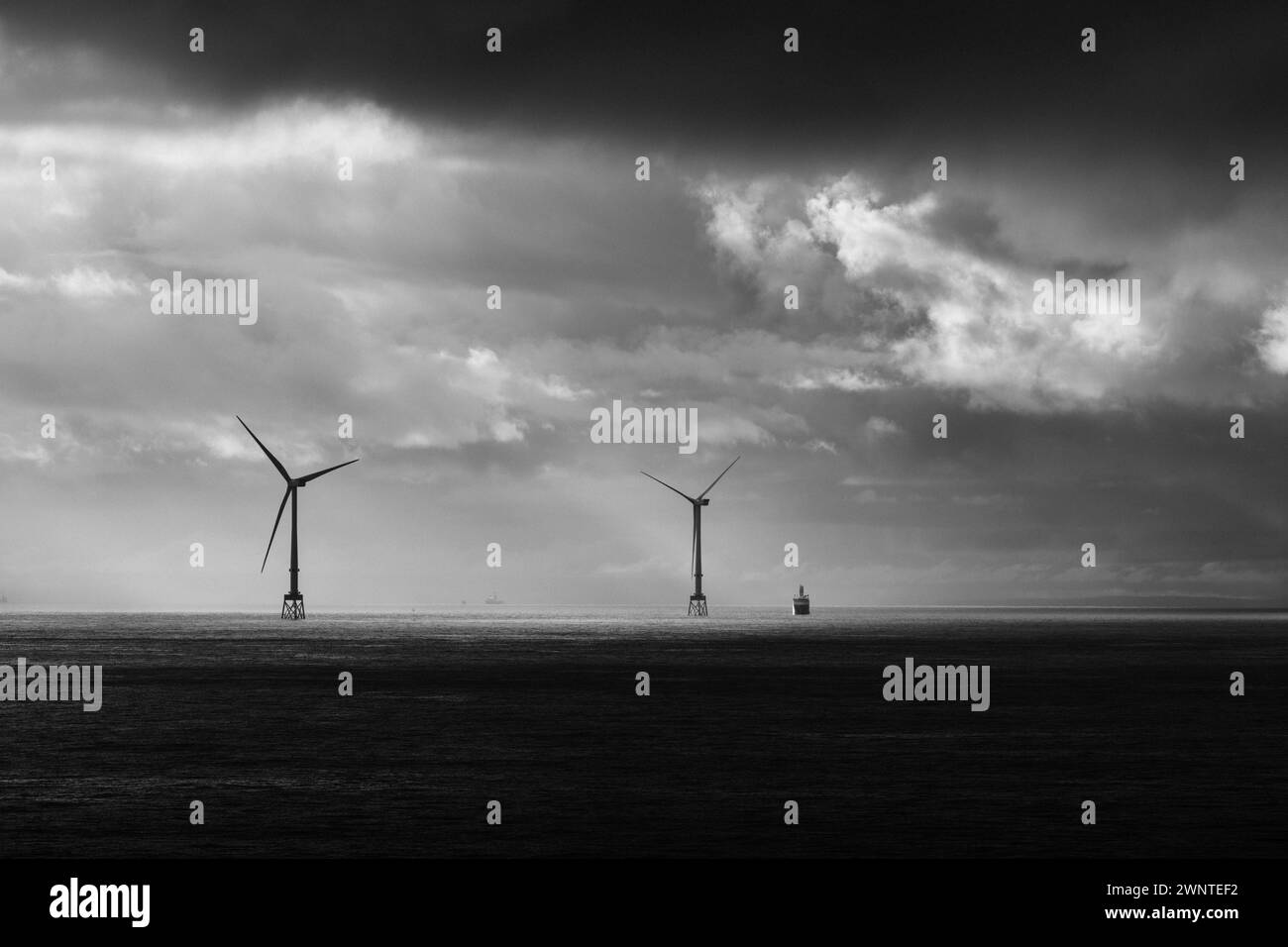 Seagreen, parco eolico scozzese offshore. Immagini in bianco e nero delle turbine Vestas V164-10MW Foto Stock
