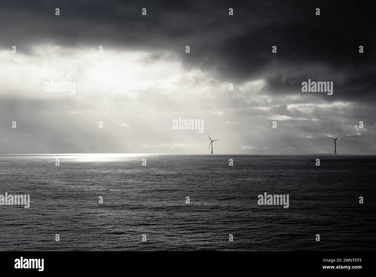 Parco eolico scozzese offshore. Immagini in bianco e nero delle turbine Vestas V164-10MW Foto Stock