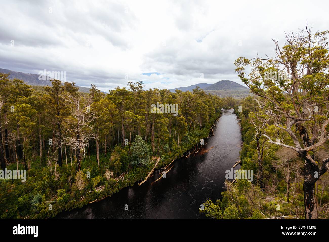Il paesaggio del Tahune Airwalk intorno al fiume Huon in una giornata estiva nuvolosa nella Huon Valley, Tasmania, Australia Foto Stock