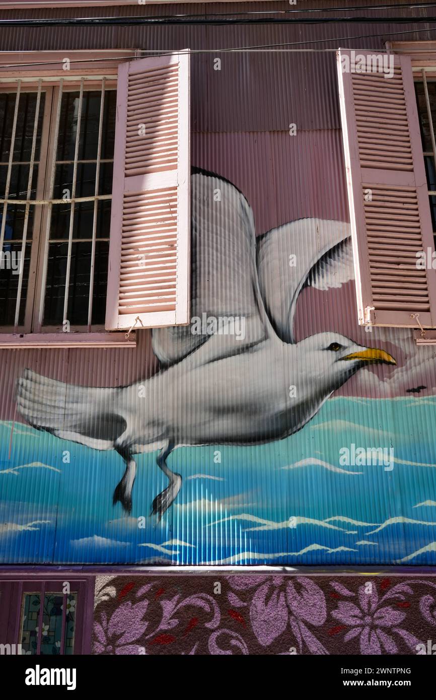 Arte di strada gabbiano dipinto sulle pareti nella zona di Paseo Yugoslavo. Valparaíso, Cile. Foto Stock