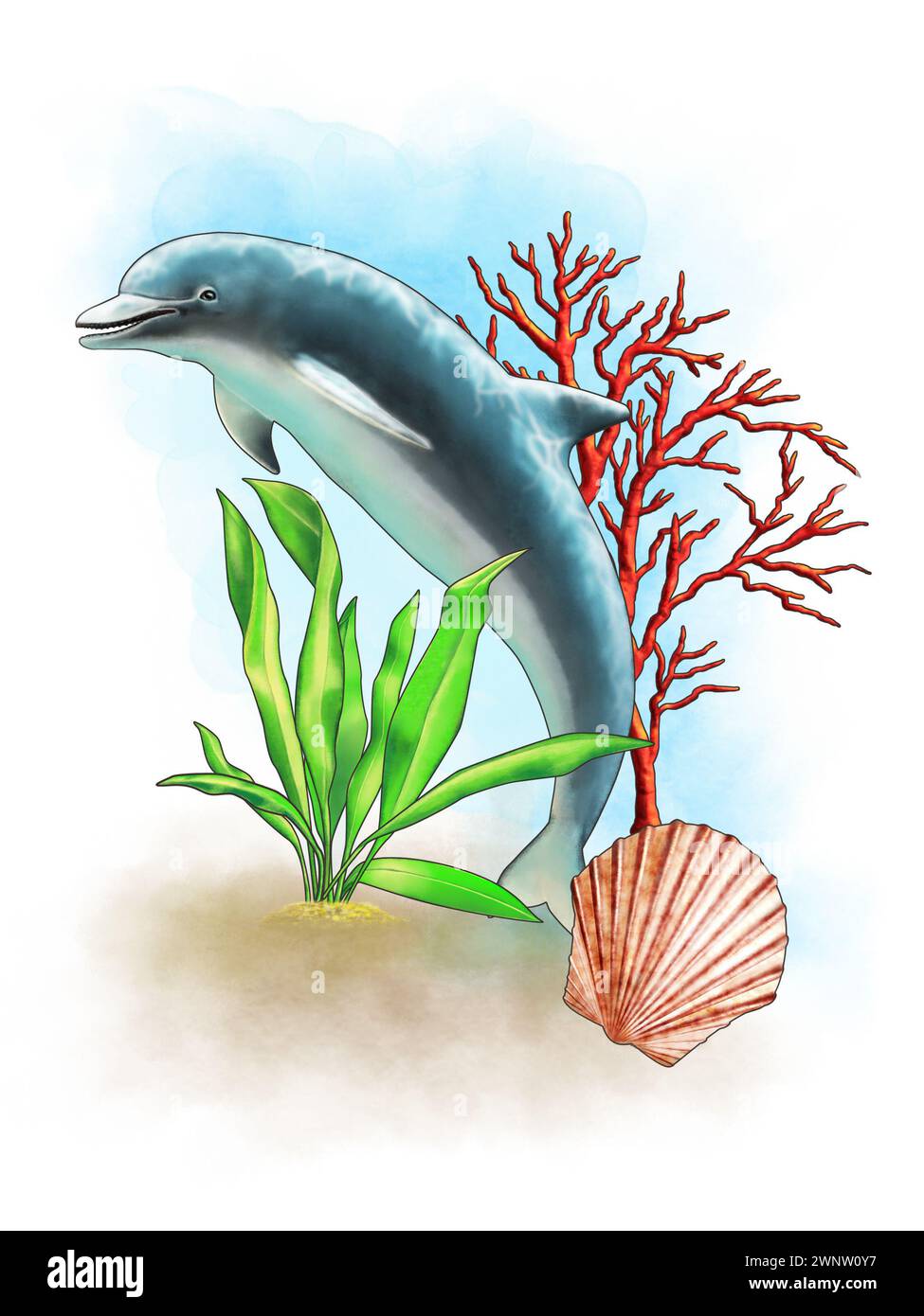 Composizioni a tema marino che includono un delfino, una conchiglia, un corallo e alcune alghe. Illustrazione digitale. Foto Stock