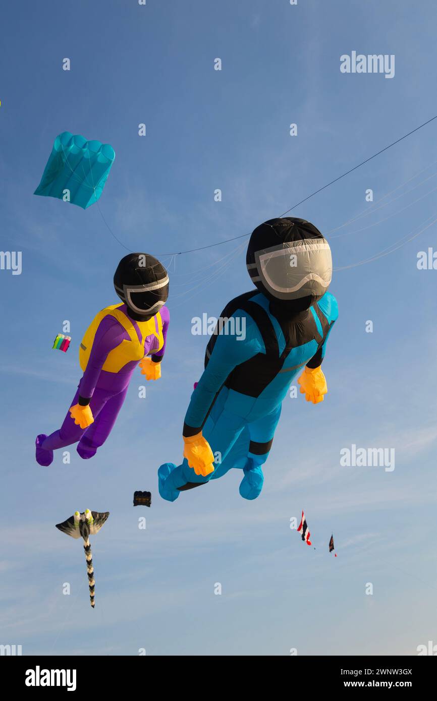 20 gennaio Abudhabi Emirati Arabi Uniti. Bellissimi e diversi tipi di aquiloni dal festival degli aquiloni ad Abudhabi Foto Stock