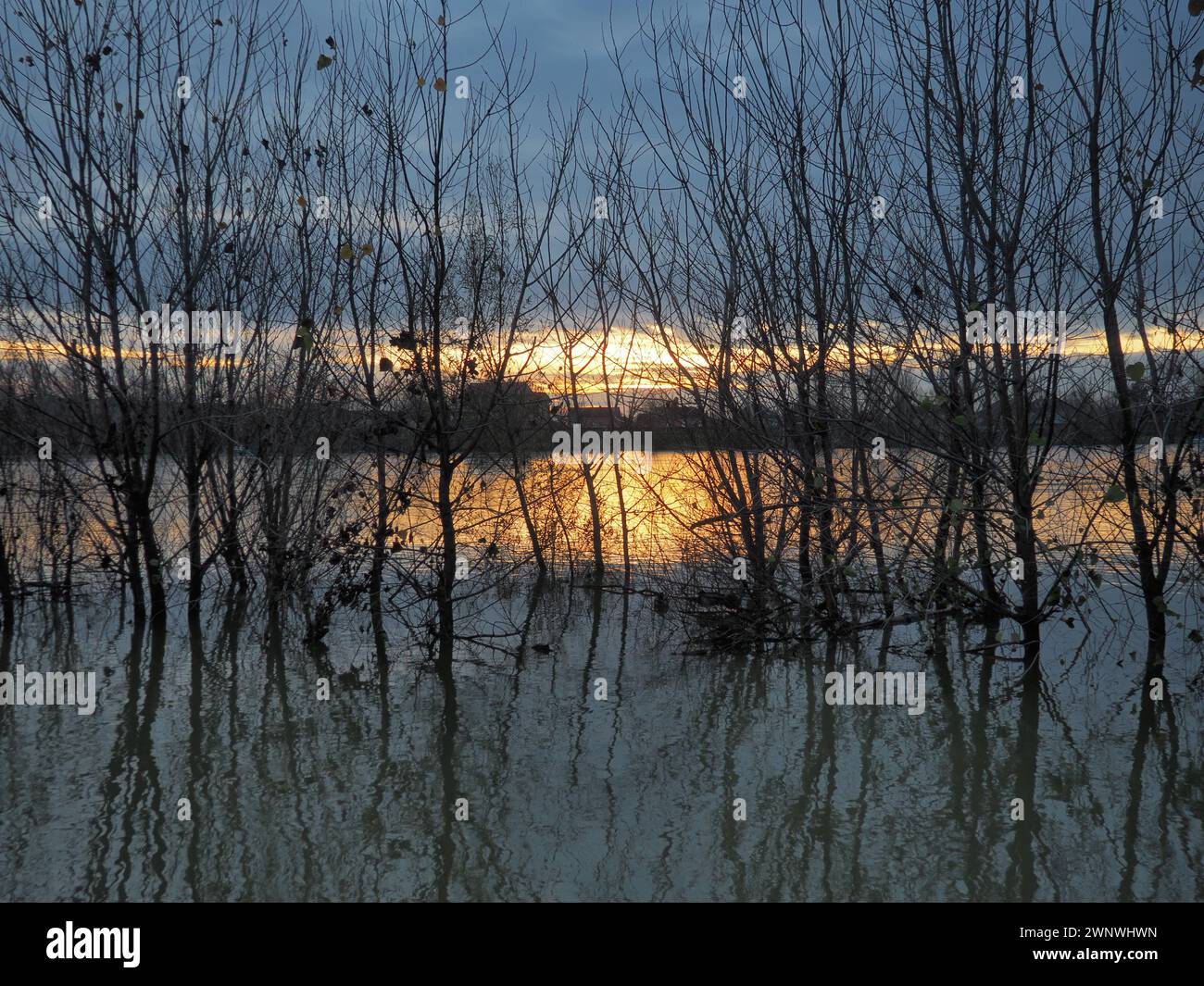 Tranquillo tramonto sul fiume Sava, Sremska Macvanska Mitrovica, Serbia. Riflesso perfetto degli alberi e del postbagliore. Retroilluminazione e struttura nera Foto Stock