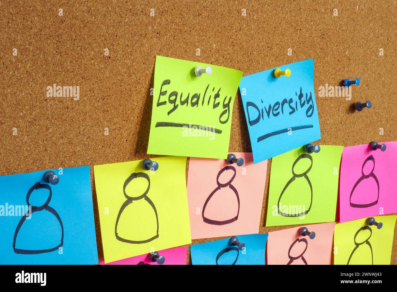 Gli adesivi con iscrizioni Equality e Diversity sono fissati sulla lavagna. Foto Stock