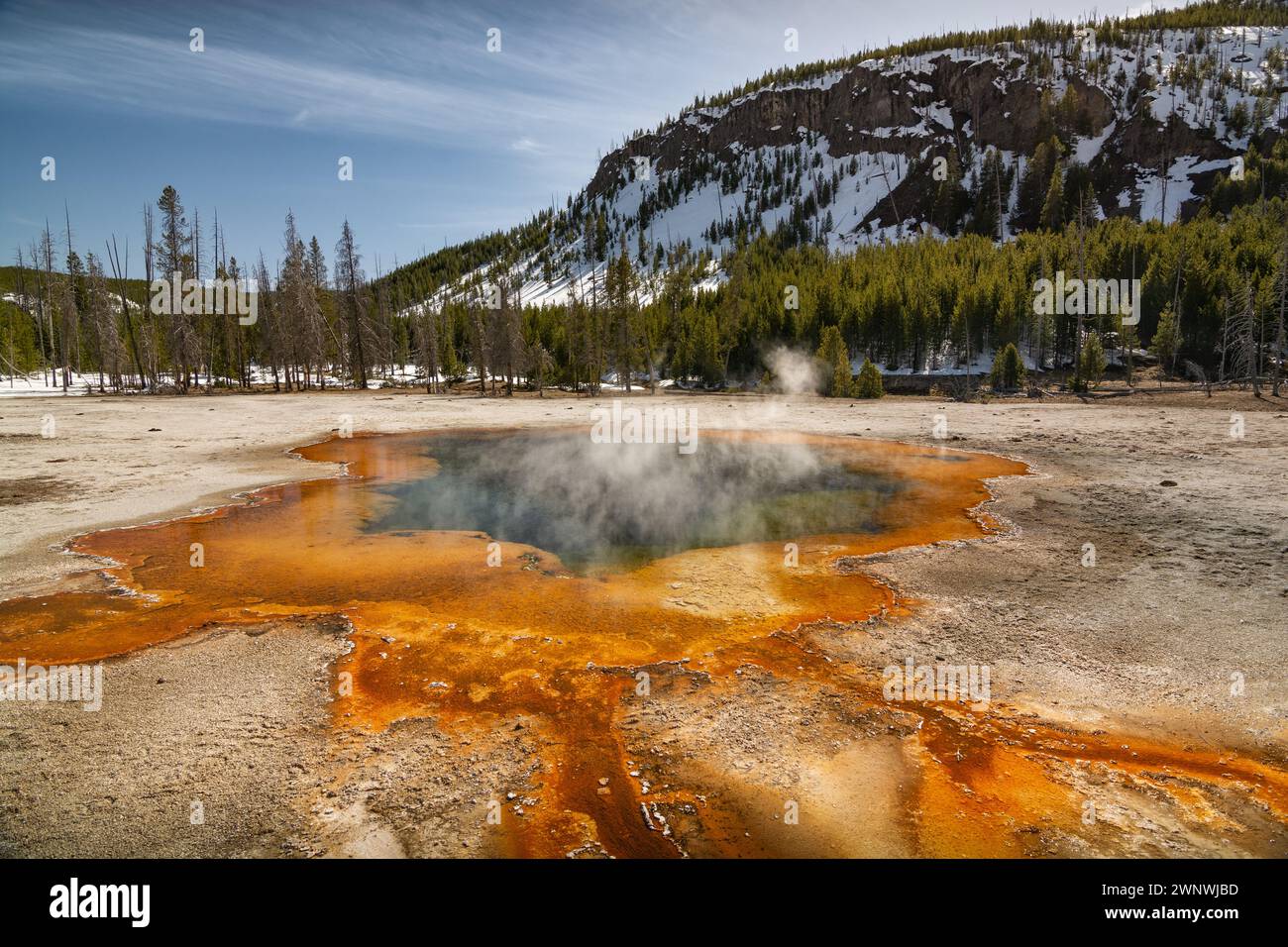 Vibrante sorgente termale calda con acqua fumante, circondata da colorati depositi minerali nel parco nazionale di Yellowstone Foto Stock