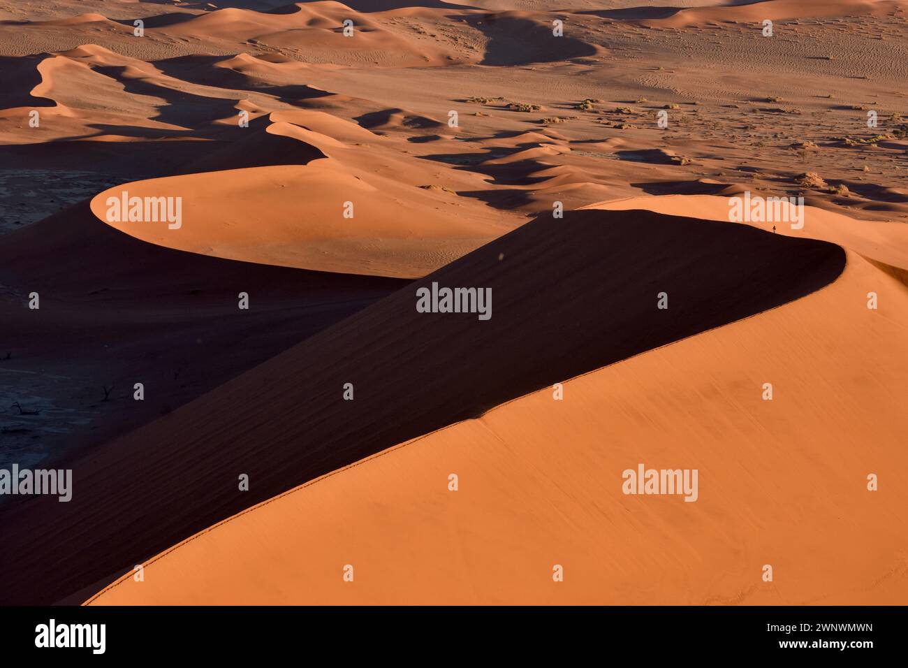 Dune di sabbia rossa pietrificate con persone che camminano sulla cresta, Sossusvlei, Namibia Foto Stock