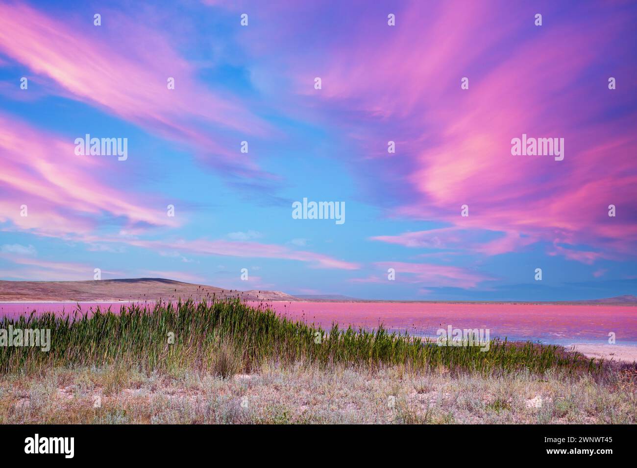 Vista sul lago rosa con un bel cielo alla luce del tramonto Foto Stock