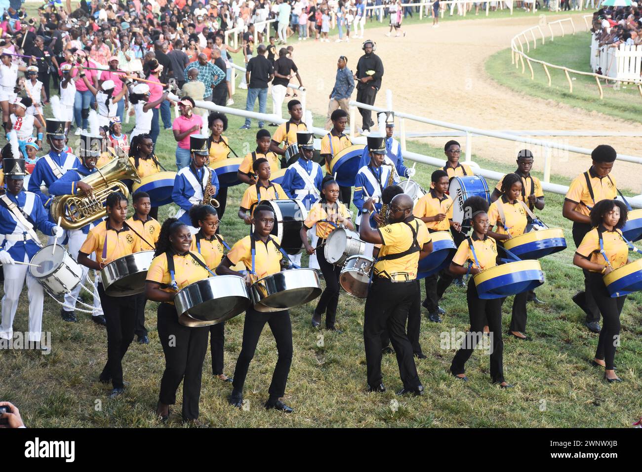 Sandy Lane Gold Cup Horse Race 2024 al Garrison Savanah nelle Barbados, nelle Indie occidentali Foto Stock