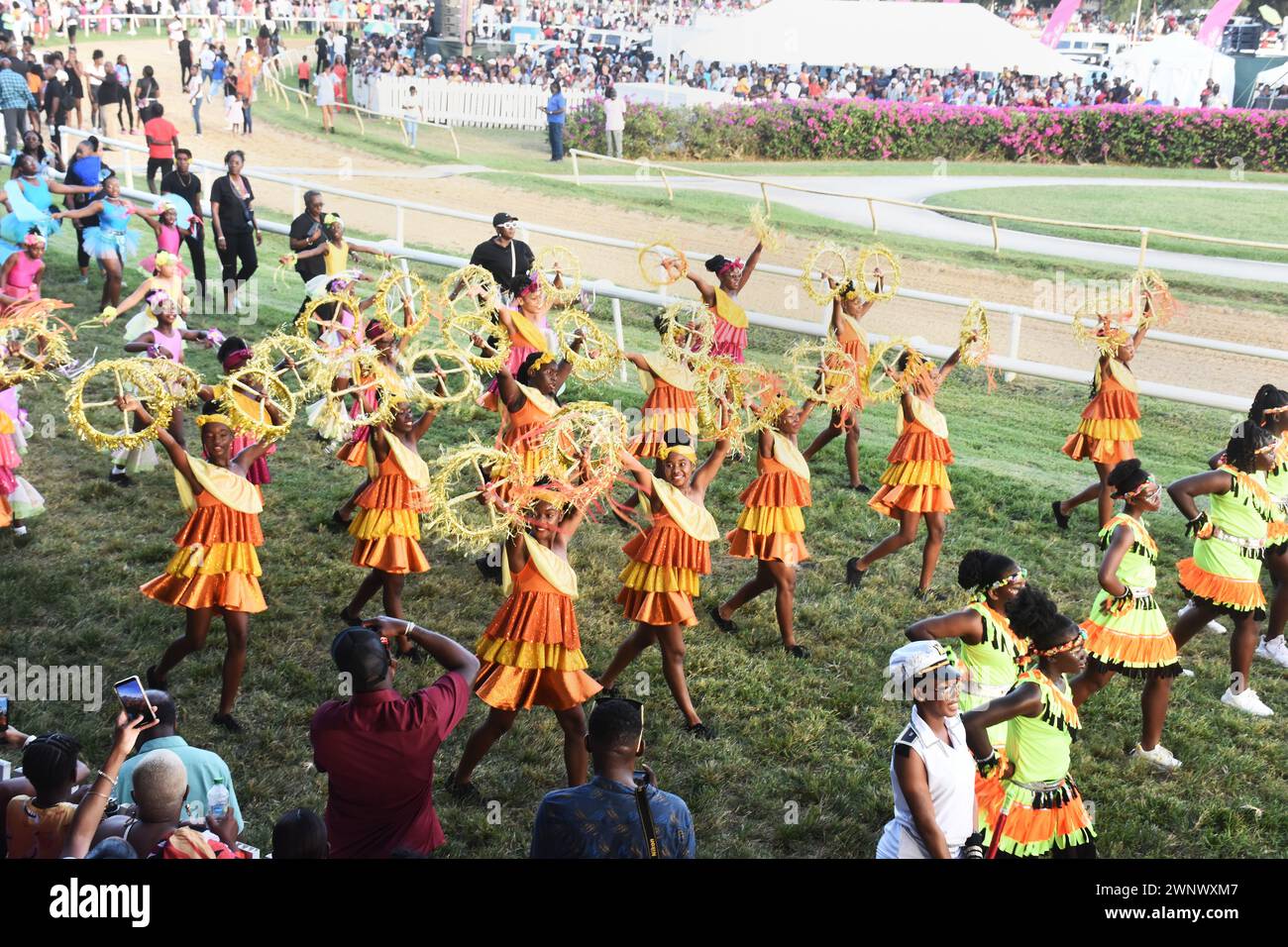 Sandy Lane Gold Cup Horse Race 2024 al Garrison Savanah nelle Barbados, nelle Indie occidentali Foto Stock