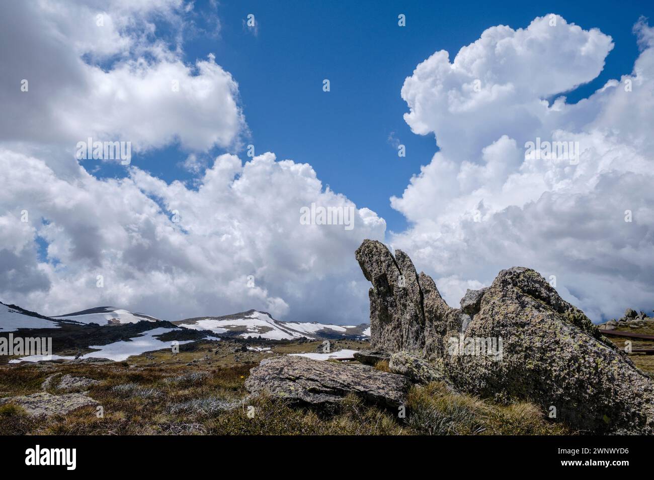 Vista dall'osservatorio di Kosciuszko al monte Kosciuszko in estate, al Parco Nazionale di Kosciuszko, nel nuovo Galles del Sud, in Australia Foto Stock