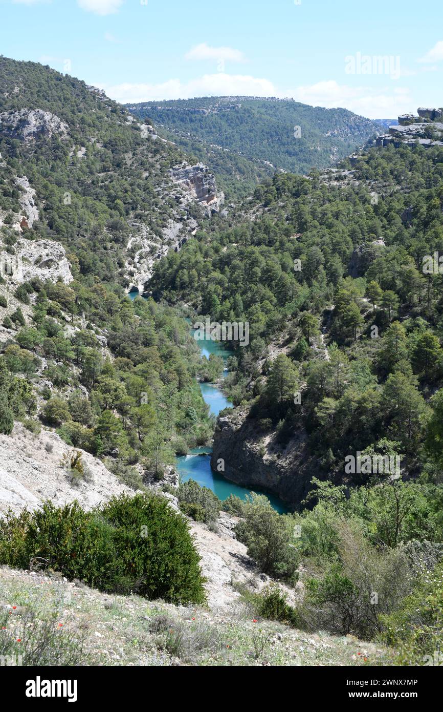 Fiume Jucar (Parco naturale Serrania de Cuenca). Villalba de la Sierra, Cuenca, Castilla-la Mancha, Spagna. Foto Stock