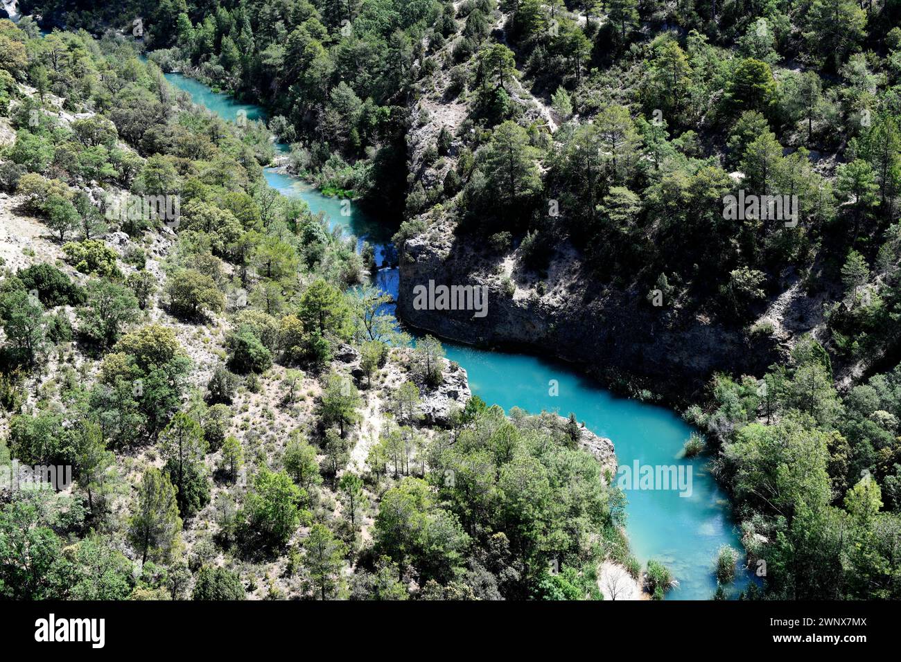 Fiume Jucar (Parco naturale Serrania de Cuenca). Villalba de la Sierra, Cuenca, Castilla-la Mancha, Spagna. Foto Stock