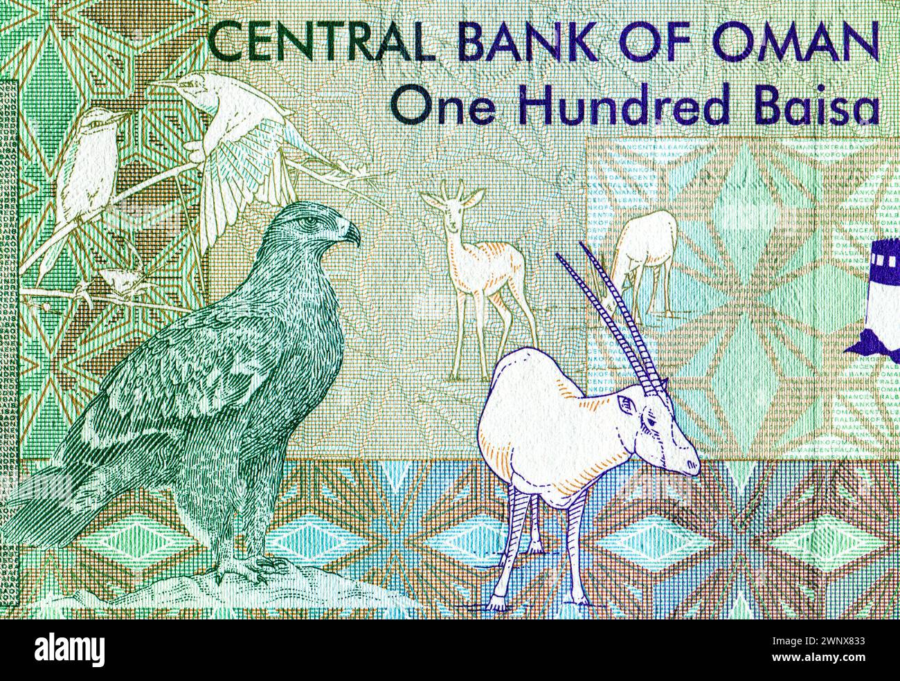 Aquila, orice, altri animali e uccelli. Frammento di banconote dell'Oman 100 baisa 1995, primo piano Foto Stock