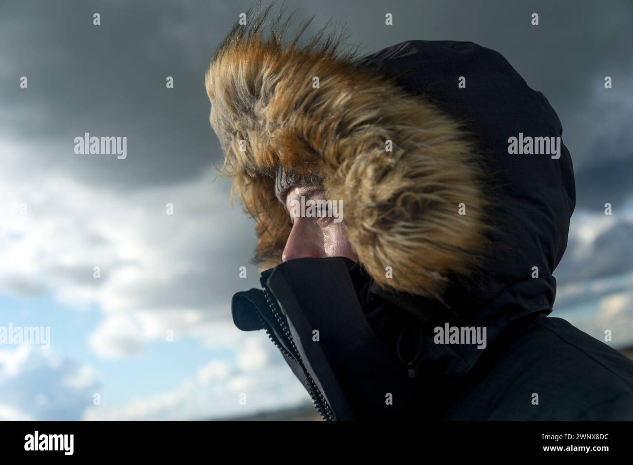 Ritratto di una donna in un parco fiancheggiato da pellicce con il maltempo Foto Stock