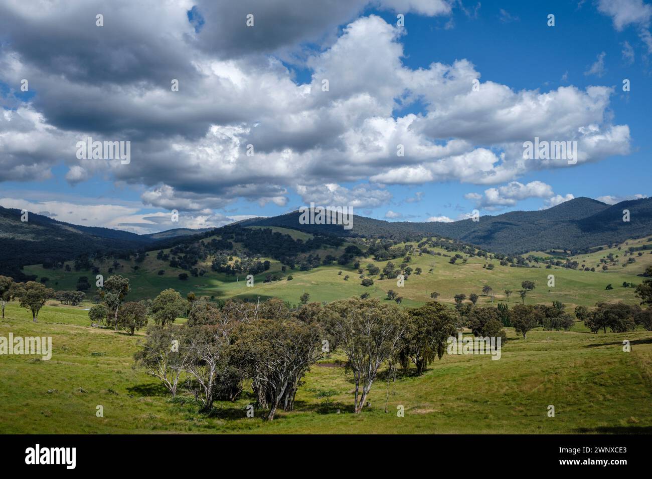 Campagna nella Murray Valley dalla Murray Valley Highway che guarda attraverso Dry Forest Creek, Victoria, Australia Foto Stock