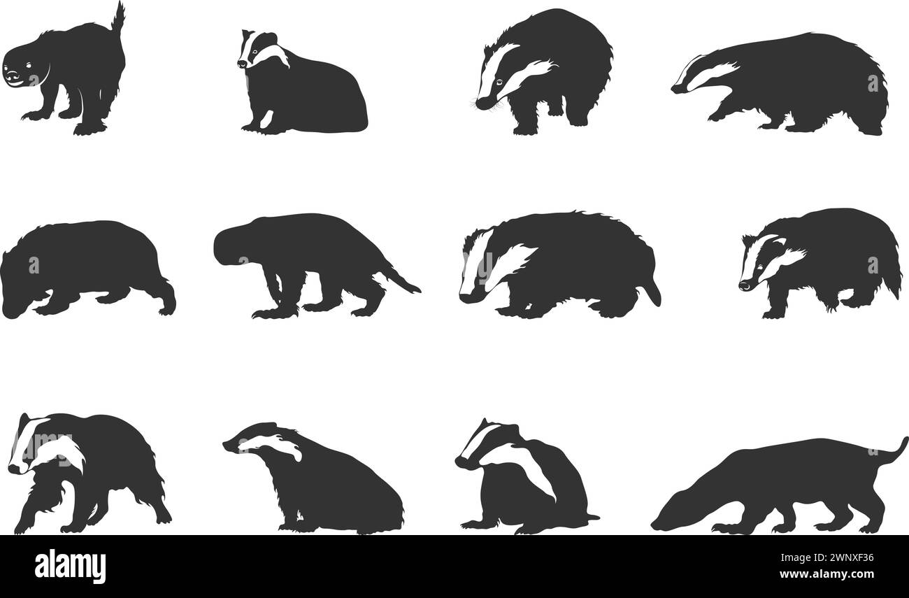 Silhouette Badger, silhouette Badger Clipart, set vettoriale Badger Illustrazione Vettoriale