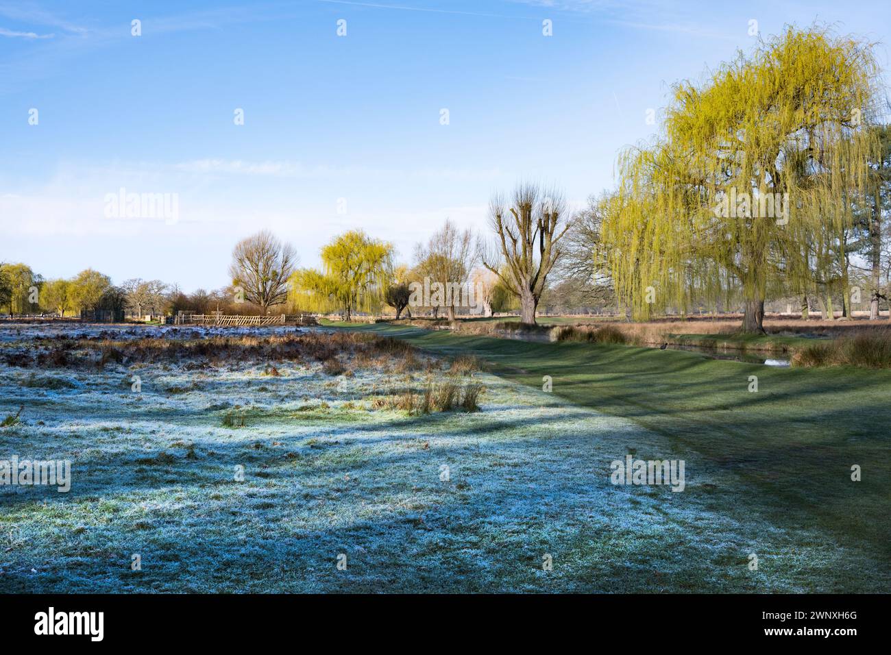 Gelo che sopravvive all'ombra la mattina presto di marzo con sole basso Foto Stock