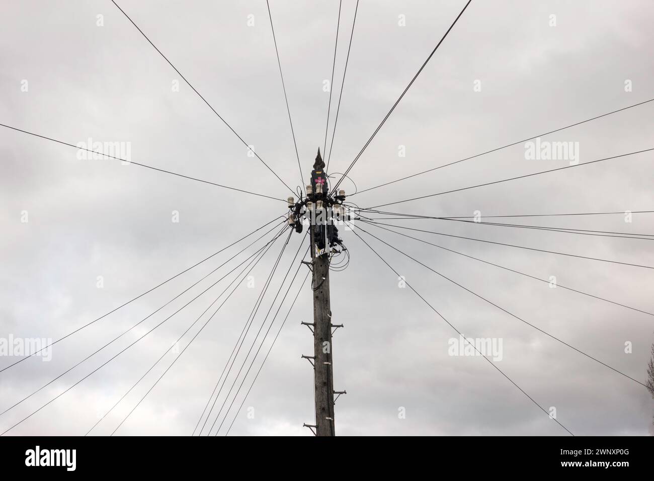 Una rete di cavi telefonici supportata da un palo in legno, Inghilterra, Regno Unito Foto Stock