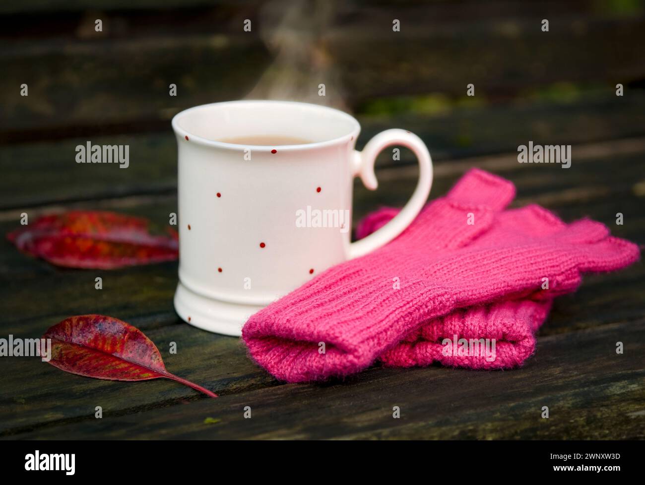 Cottura a vapore di una tazza di tè con guanti a maglia sul banco all'esterno e foglie autunnali Foto Stock