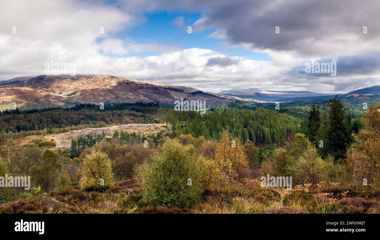 Queen Elizabeth Forest Park, area della foresta di Achray che si affaccia sulle colline di Mentieth, i Trossachs, Scozia, preso vicino ad Aberfoyle dalla A821 presto Foto Stock