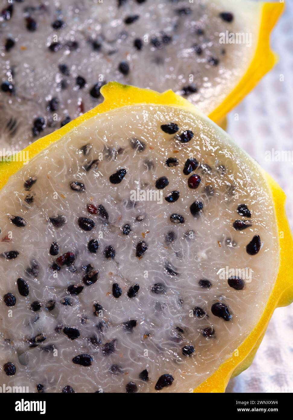 Il frutto del drago di Miele di Frieda, conosciuto anche come Pitaya, è il frutto del drago più dolce che ci sia! Foto Stock