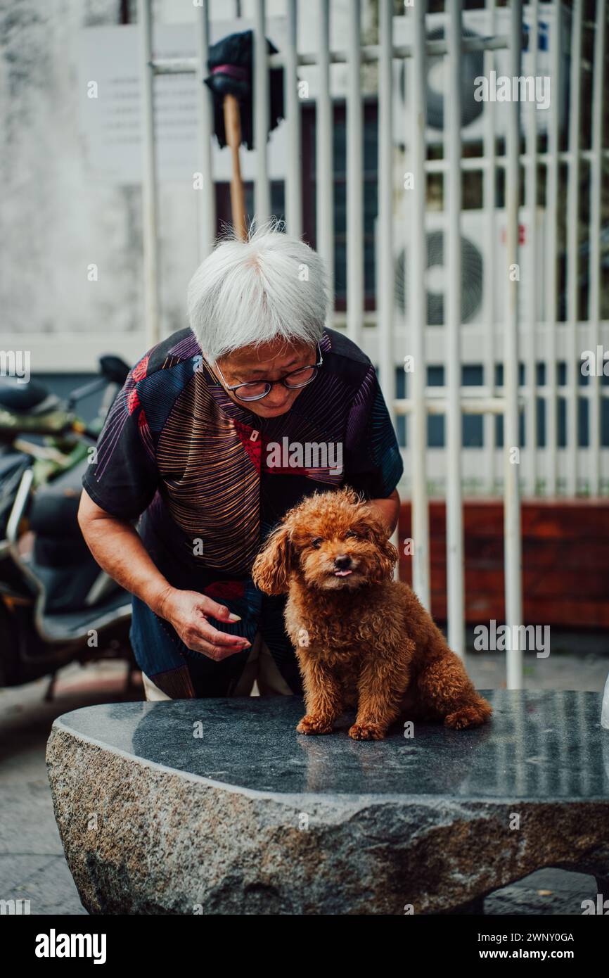 Vecchia signora cinese che accarezza un cane nella città vecchia di Suzhou Foto Stock