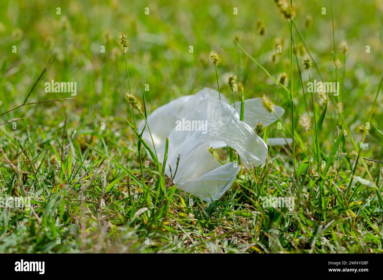 l'inquinamento da plastica sta raggiungendo livelli intollerabili, troppa plastica dispersa in natura, nei mari e negli oceani. Qui prato e rifiuti di plastica. riciclaggio Foto Stock