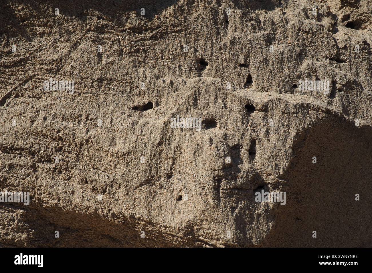 L'arenaria è una roccia sedimentaria frammentaria, un aggregato omogeneo o o stratificato di grani frammentari e grani di sabbia legati da qualsiasi minerale Foto Stock