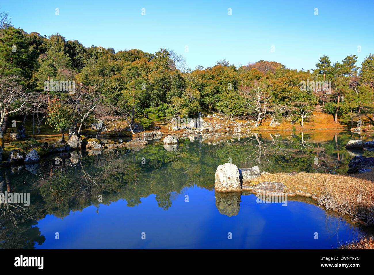 Tenryu-ji, un venerabile tempio Zen ad Arashiyama, Susukinobabacho, Sagatenryuji, Ukyo Ward, Kyoto, Giappone Foto Stock