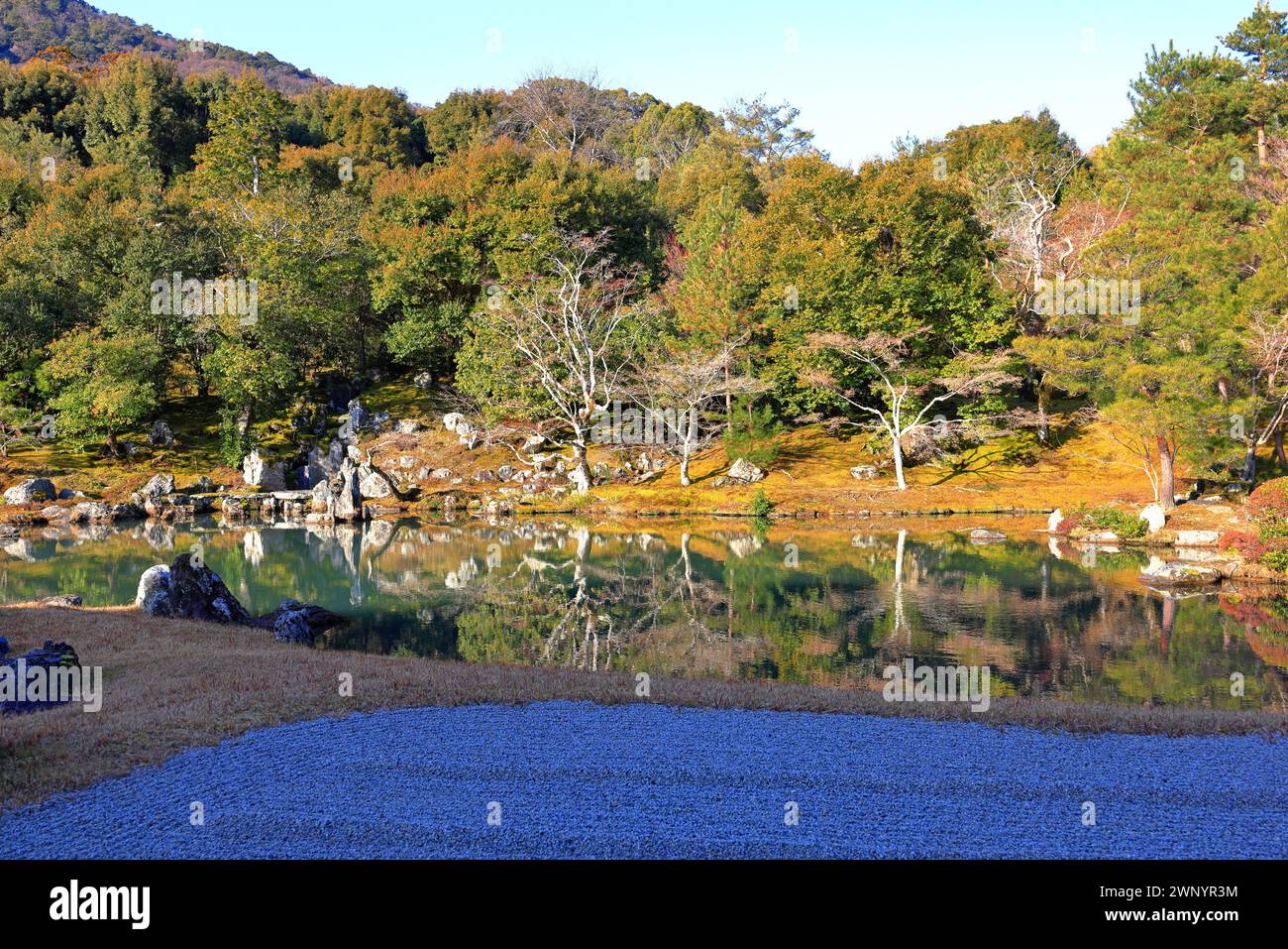 Tenryu-ji, un venerabile tempio Zen ad Arashiyama, Susukinobabacho, Sagatenryuji, Ukyo Ward, Kyoto, Giappone Foto Stock