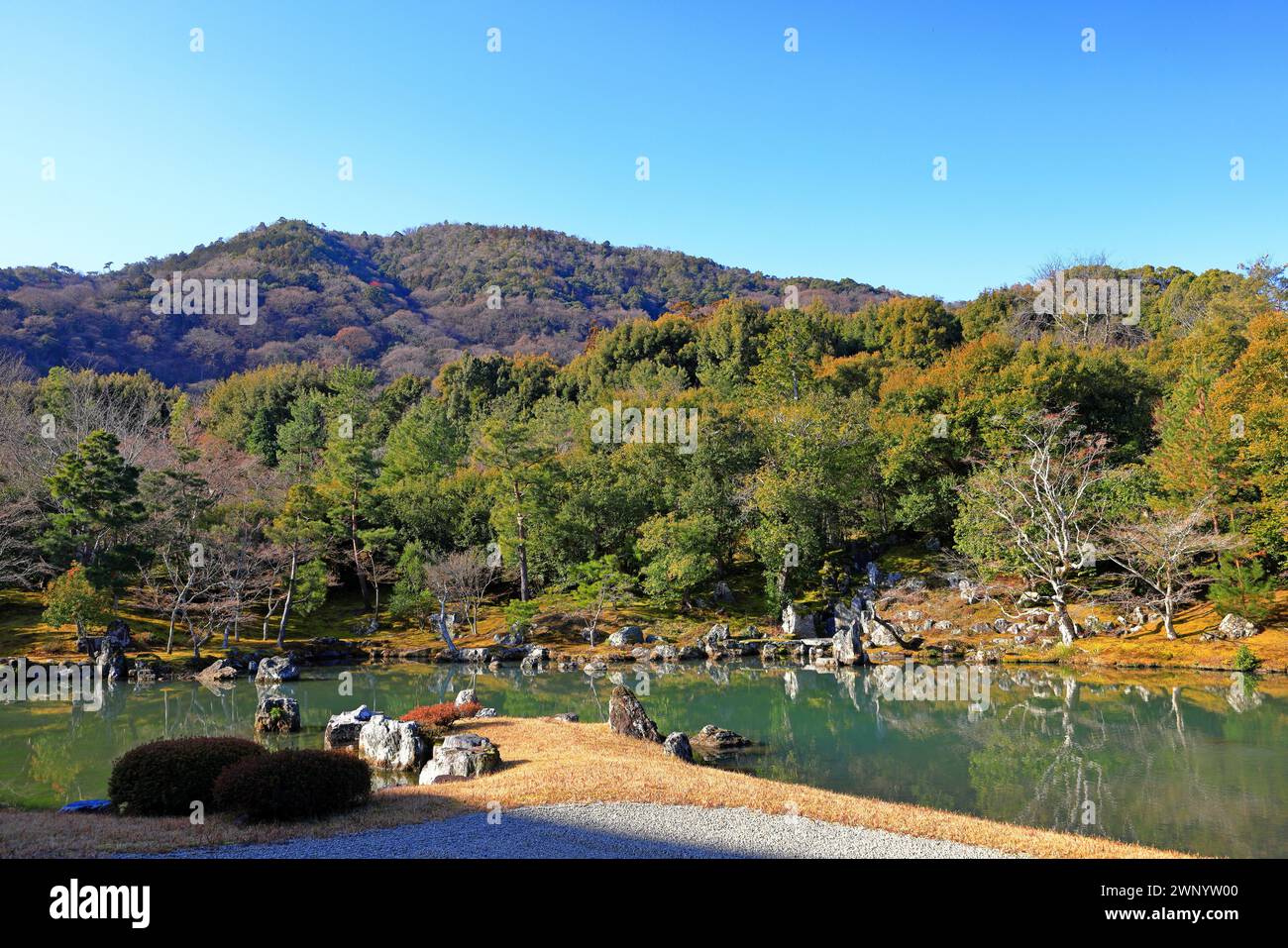 Tenryu-ji, un venerabile tempio Zen ad Arashiyama, Susukinobabacho, Sagatenryuji, Ukyo Ward, Kyoto, Giappone Foto Stock